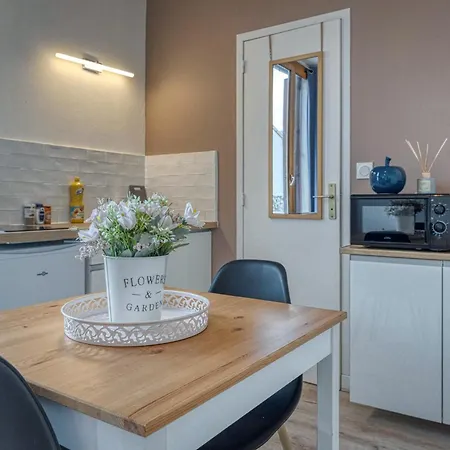 Le Cosy Des Tournelles - Gare De - Fibre Apartment Grenoble